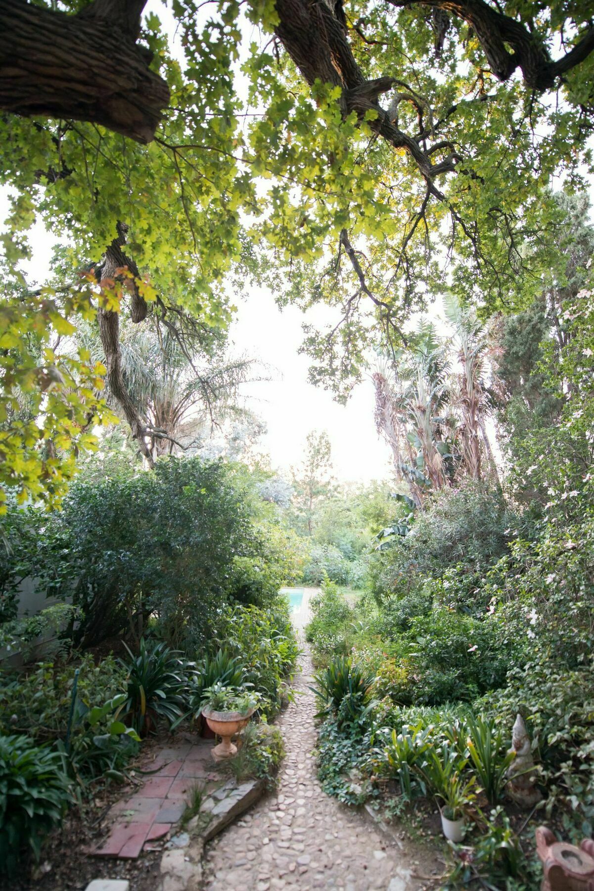 Tulbagh Country Guest House - Cape Dutch Quarters Exteriér fotografie